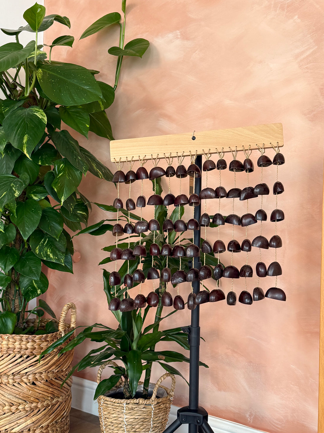 South American shell shakers