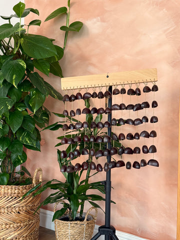 South American shell shakers