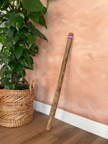Chilean Cactus Rain Stick (100CM)