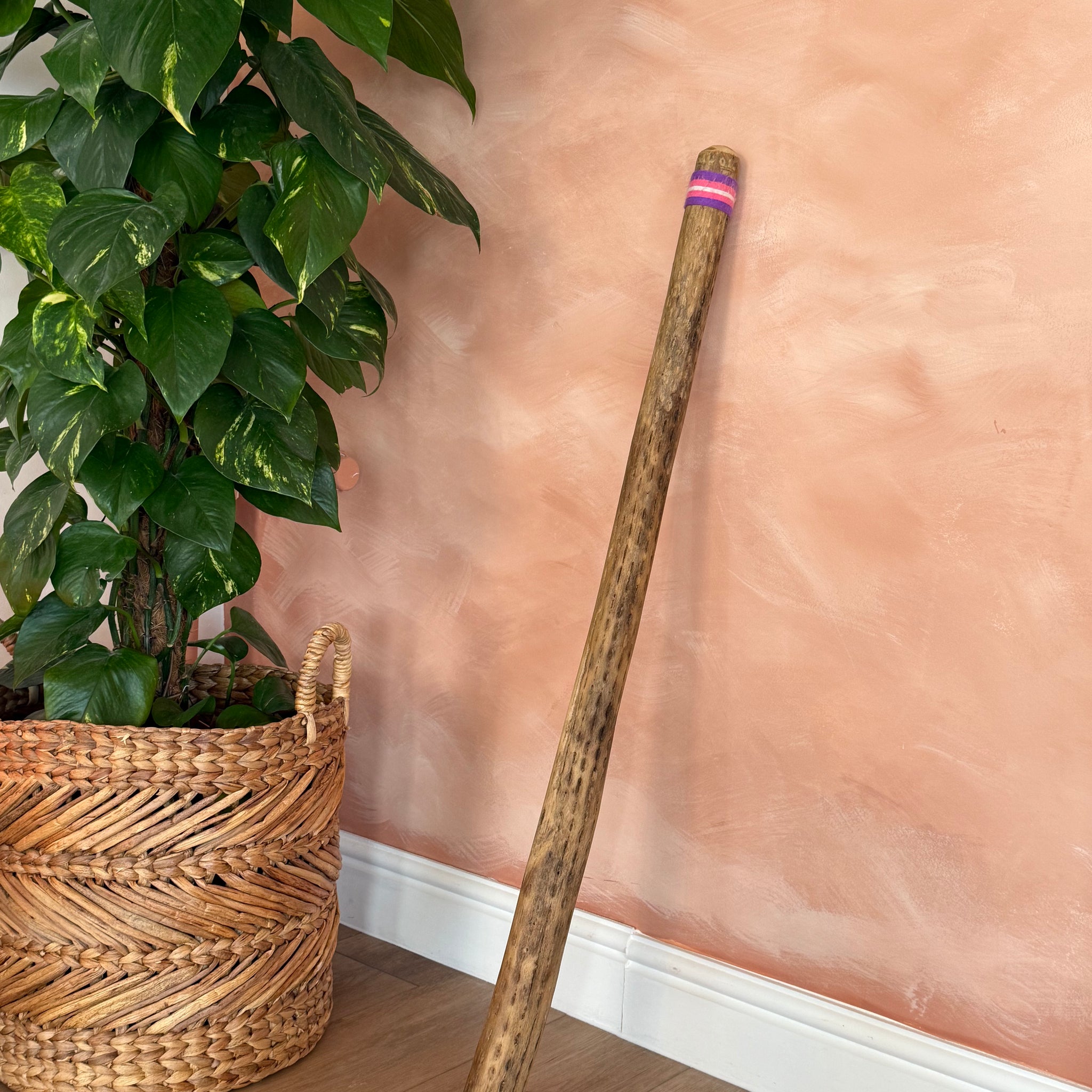 Chilean Cactus Rain Stick (100CM)